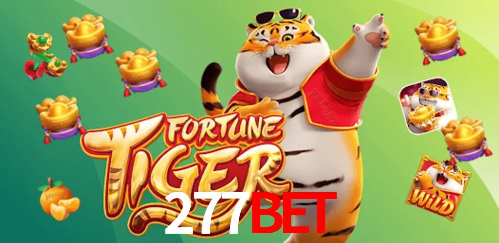 Sports Statistics 277bet
